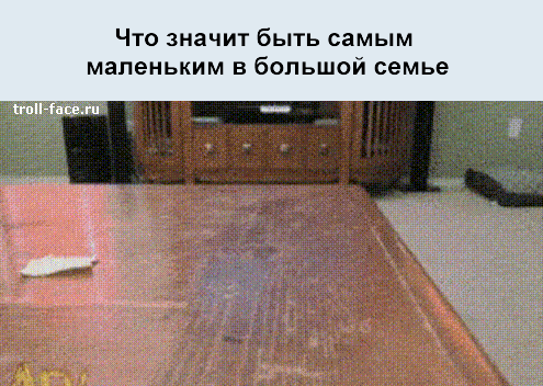 12826050149124_bolshaya-semya-b63msz