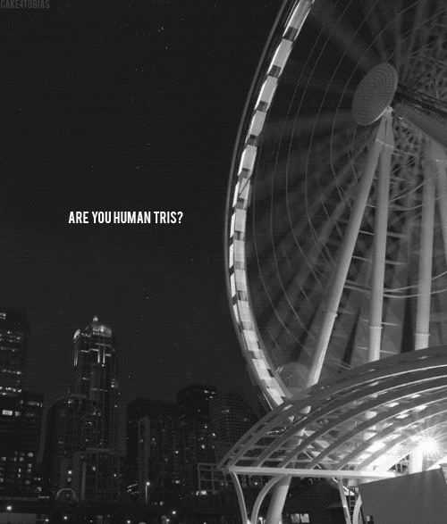 31214409684118_book-dauntless-divergent-farris-wheel-favim.com-1754323