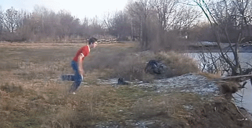 daily_gifdump_977_05