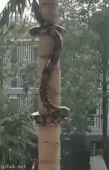 41998271245843_1451133734_10