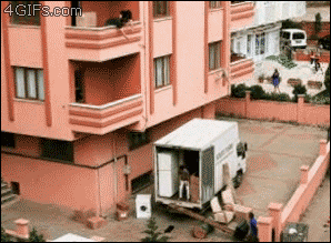 these_people_take_dumb_to_the_next_level_15