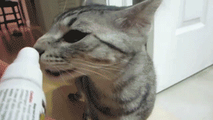 7088984767530_15-gif-8