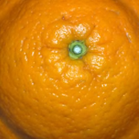 0_fd459_9dd74a57_orig