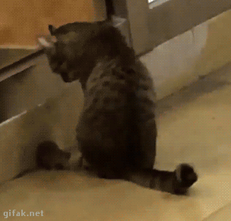 tumblr_o0fw2ncbJi1ukldkho1_400