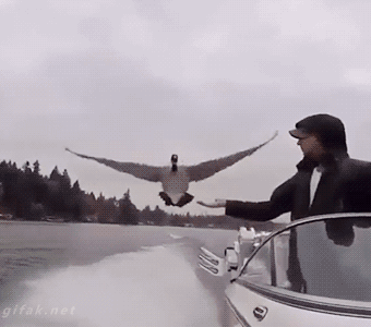 tumblr_o0c37fvLz31ukldkho1_400