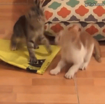 tumblr_nzuwg24v7B1ukldkho1_400