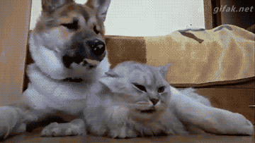 tumblr_nzjk2pBvHe1ukldkho1_400