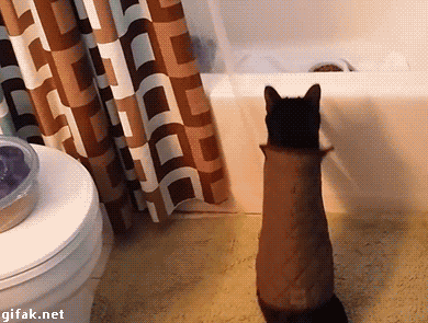 tumblr_nzga1snta91ukldkho1_400