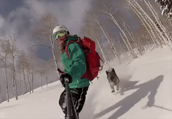 21312877393639_1452618442_585-66