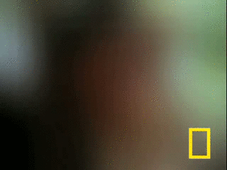 11 января 2016