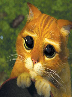 1312638887_kot-iz-shrek