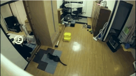 41172246783494_1452510982_giff-nabor_219-36