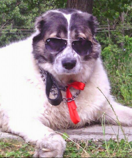 IMG_20140621_171013-01-01