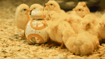 gifs_26