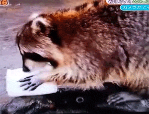tumblr_o0ukdhtFdH1tpmgf1o2_400