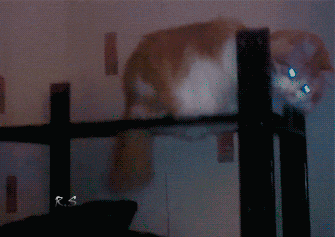 tumblr_ne3xu3prs71tpmgf1o1_400