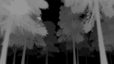 tumblr_nskaloqiS41uruo10o1_r1_400