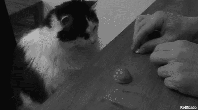 tumblr_m42vw9iQLN1qks938o1_400