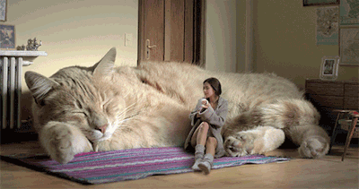 tumblr_mcjdmoSrpl1rjcfxro1_400