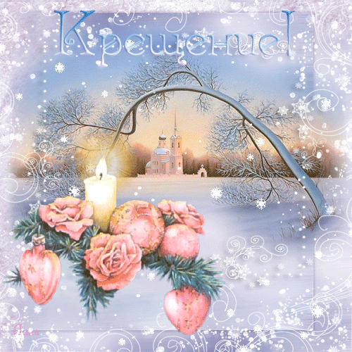 109242397_109211259_436