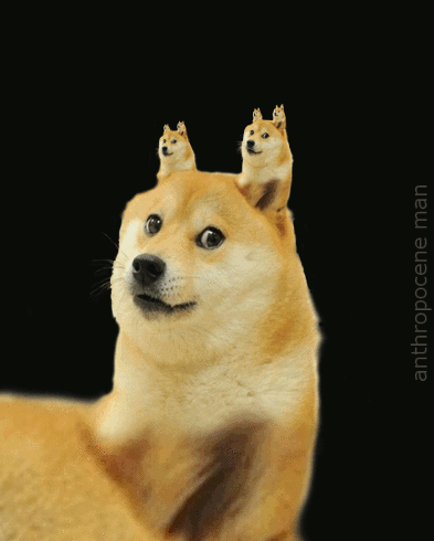 170