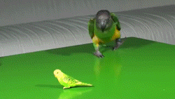 196