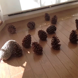 218