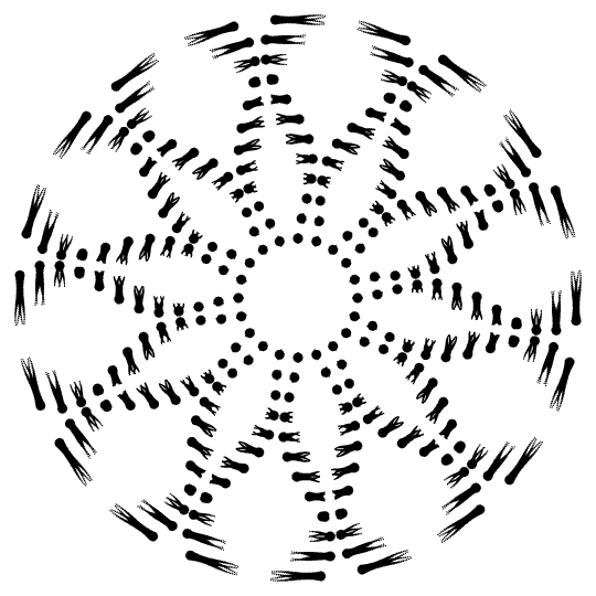 05