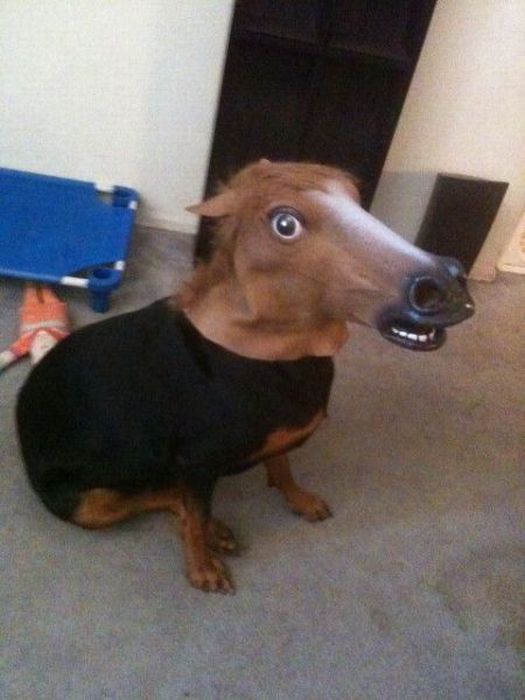 1287550653_podborka_71