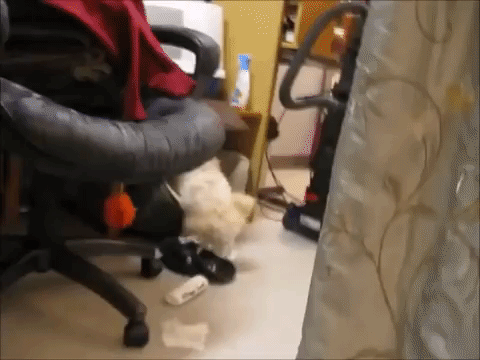 Whenever you get caught doing something bad - Imgur