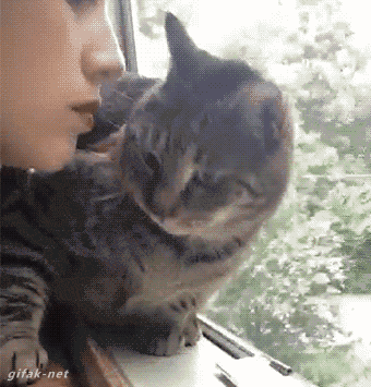 doc302951290_437130397_yapfiles.ru