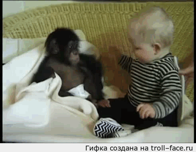 65544988969874_91-gif-2