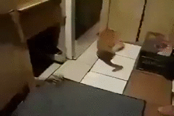 bloggif_56a70f7a400cd