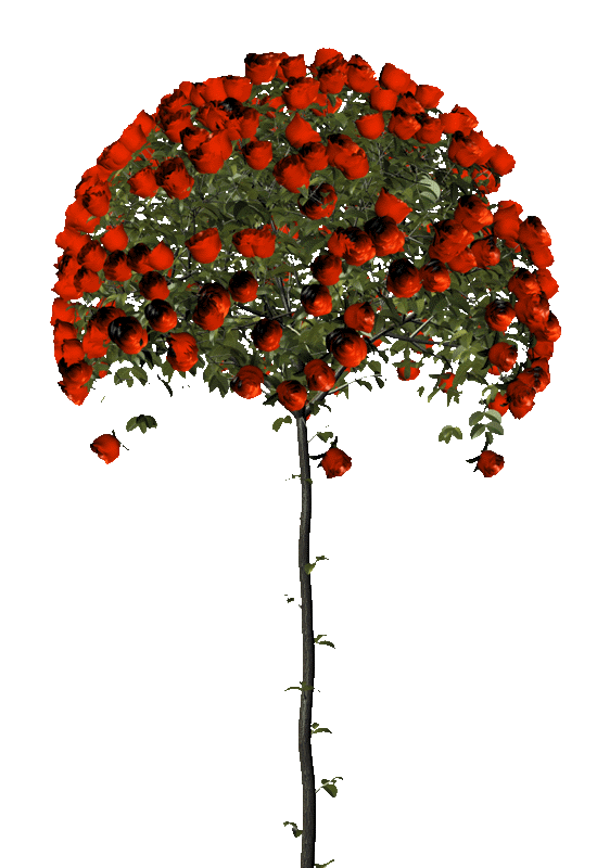 19396шгнгнн