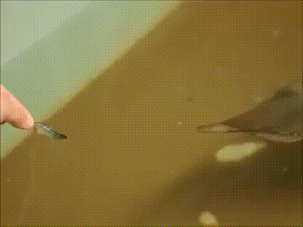 awxKKxy_460sv