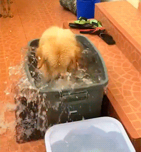 19360150071112_056_1000