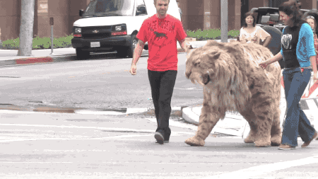 gifs_21 (17)