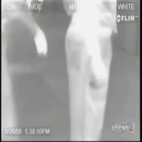 giphy1
