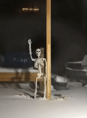 -снег-буря-скелет-2804993