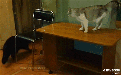 22_yapfiles.ru