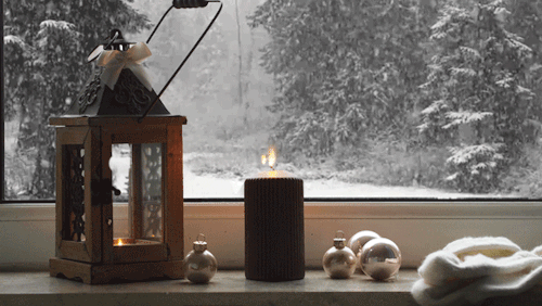 tumblr_nz3m5gqZeP1us7429o1_500(инет)