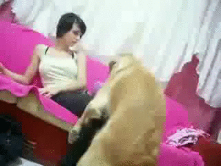 dog_wants_to_mate_with_a_beautiful_girl