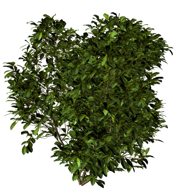 --------_-----------------nfyz-full-6505-348730