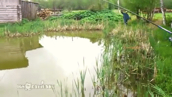 -рыбалка-засада-котэ-1947447