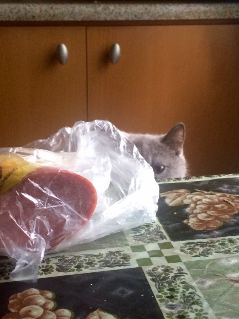 Засада за колбасой