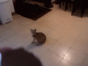 Будьте осторожны с коробками