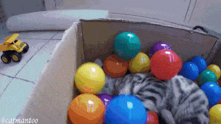 1454207279-7a56c99d9ec5cba3bb7fe31b4a4a49c0