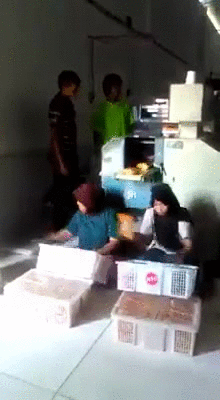 gifs_02