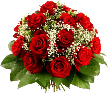 56427739_d8325f32c045