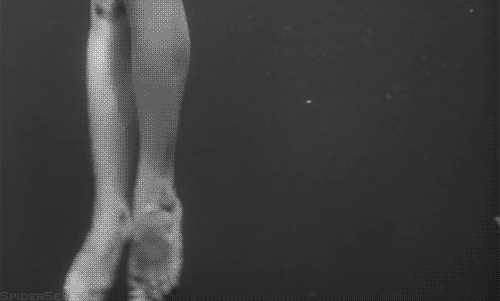 _919_yapfiles.ru